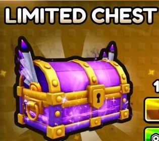 3X LIMITED CHEST