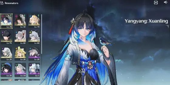 Sea Hiyuki, Yangyang XL, Suisui, Chisa, Zani