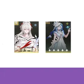 Asia|LV8|Scarlet Snow+Shorekeeper|fast delivery