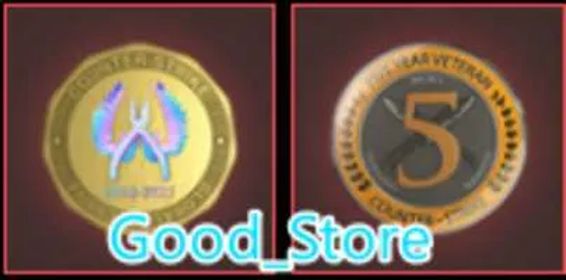CS2 Prime 117 hours+2Medals(5 Year Veteran Coin/Global Offensive Badge)-Faceit Ready-Chiha