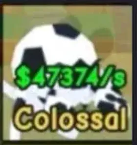!!COLOSSAL FOOTBALL HERMIT CRAB NEW DIVINE CHEAP PRICE!!