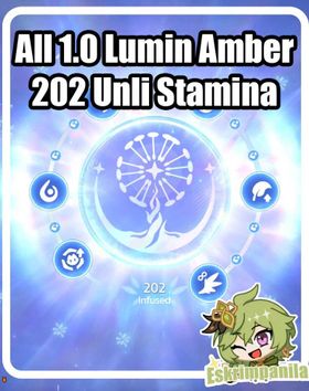 1.0 202 Lumin Amber | Aniimo Boosting Service