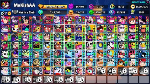 54K Trophies | 93/107 Brawlers | 21 Max Brawlers - 18 Hypercharges | 248 Skins | 607 Pins | 428 Icons | 229 Sprays