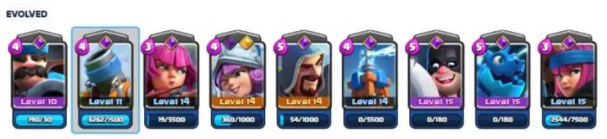 5 of 5