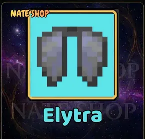 DONUTSMP ELYTRA DONUT SMP