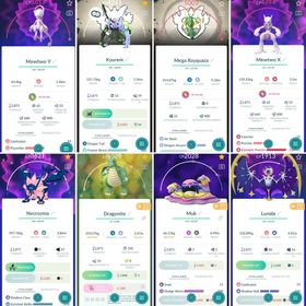 Premium Pokémon GO Account | Level 55 | 117 Legendaries, 116 Shinies,  10 Shiny & Legendaries | Primal Groudon & Kyogre , Mewtwo X & Hundo Mewtwo Y , Necrozma , Shiny Rayquaza |