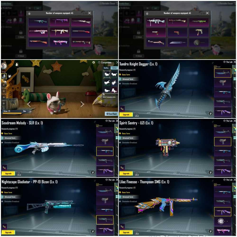 6 of 8