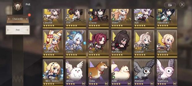 Global Server | 384K Power + 32 SSR Character + 13SSR Pet | Flame Kay T5