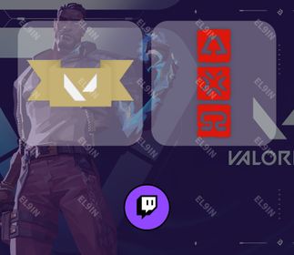 ⚡️ Twitch Drops 💎 VCT26 Champs Shanghai ⚡️ VALORANT [Total 2 Items]