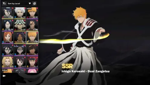 BSR286 – US Starter Account | Ichigo Dual Zangetsu, 2x Toshiro, Kenpachi, Byakuya & More