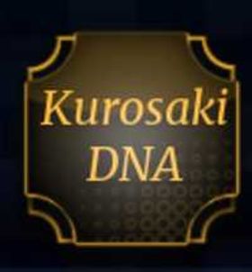Kurosaki DNA | Paradox | Roblox