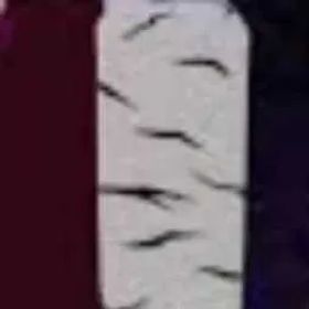Torn senju arm🦾 / fast and security 🛡️