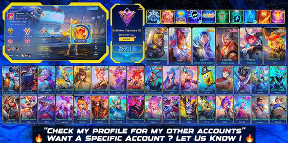EX IMMO | 236 SKINS | CHAMPION JOY | SANRIO FLORYN | ANNUAL LESLEY | 2 LUCKYBOX | 2 ZODIAC | 16 LIMITED | 24 RARE SHOP | RECALL ABYSSAL THUNDER |