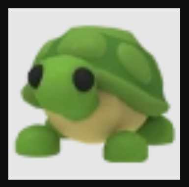 Turtle Roblox - Adopt Me
