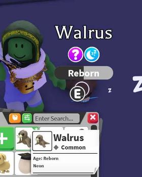 Walrus - Neon / N - Common