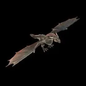 Fortnite Drogon Glider 🌶️ All Platforms 📑 Details in the description