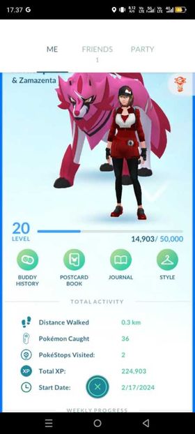 Lv 20 ~ Shiny Legendary Zamazenta, Legendary Necrozma, Legend 9