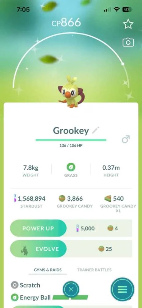 3 of 4
