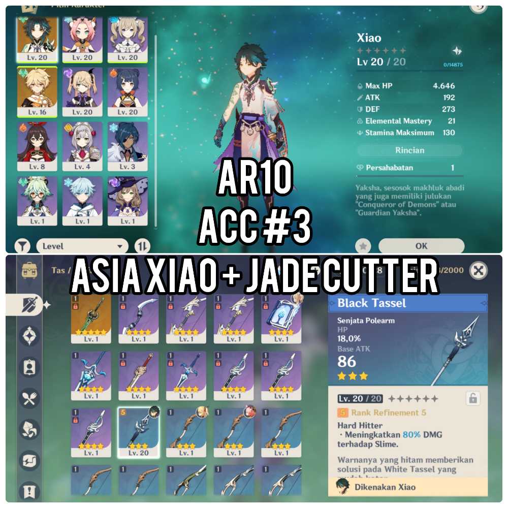 Asia AR10 - Starter Xiao + Primordial Jade Cutter