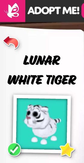 LUNAR WHITE TIGER FR