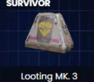 looting mk3 ( survivor) BLUEPRINT