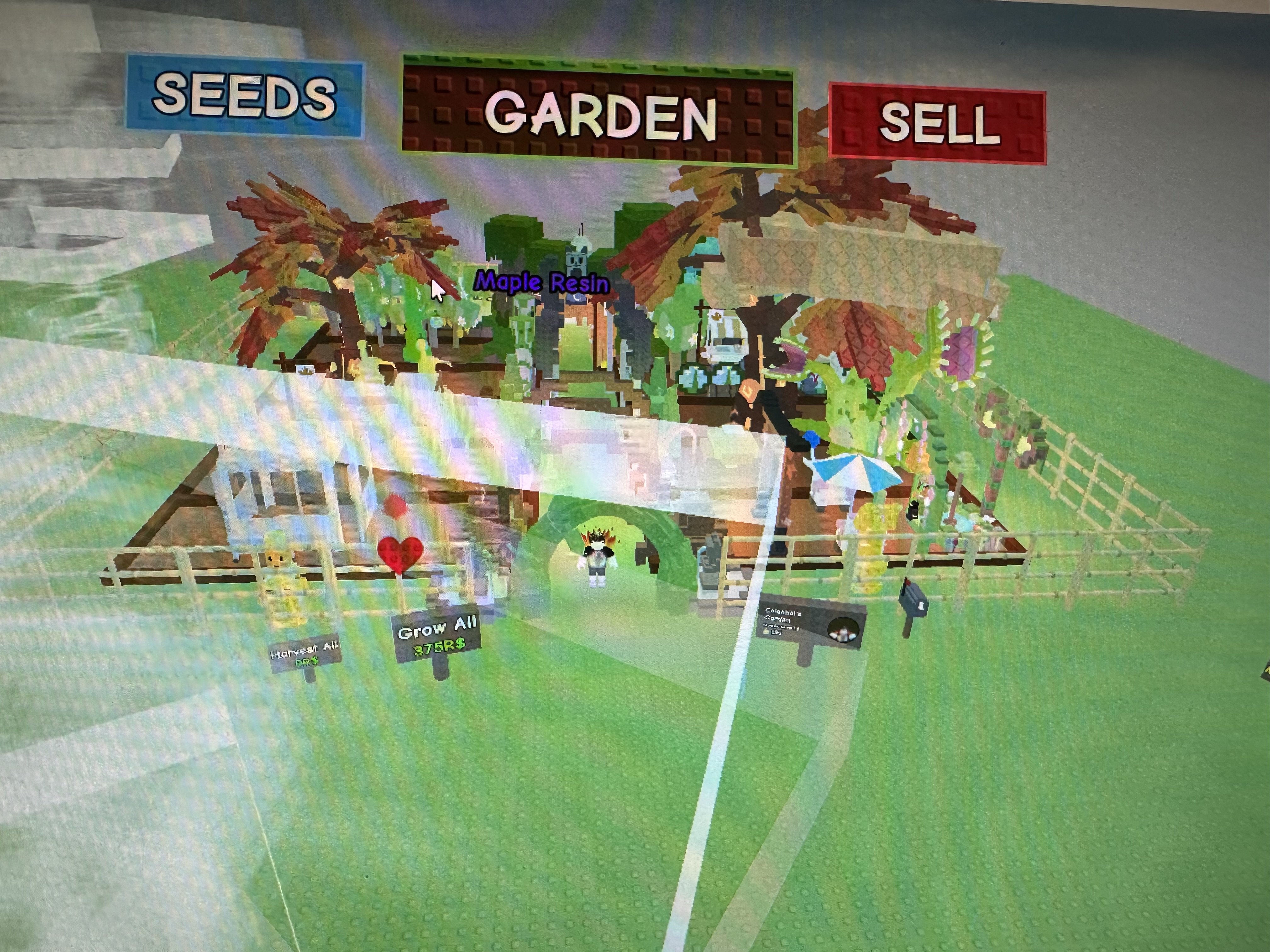 1 of 6
