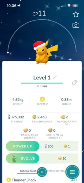 Shiny Pikachu Santa Hat [Level 1]