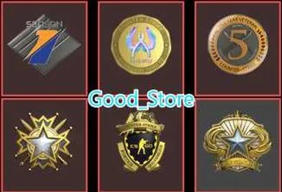 13 Lvl Steam-CS2 Prime 1085 hours+6Medals(2018-2019 Service Medal/5Y/Premier Season One Medal/Loyalty Badge/Global Offensive Badge)