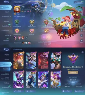 265 SKINS - KOF KARINA - 2 SANRIO FLORYN - CHANGE - 4 LUCKYBOX FANNY - HAYABUSA - RUBY KARRIE - SILVANNA - 3 ZODIAC IRITHEL - ODETTE - HELCURT - SAINTSEIYA BADANG - M7 GRANGER - COVENANT LYLIA - 10 EPIC - ML215