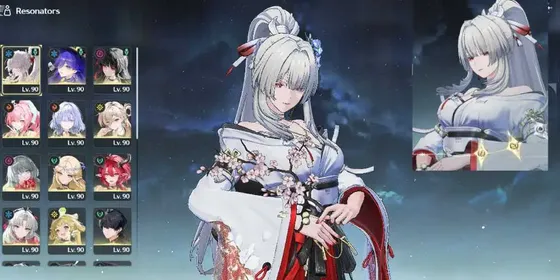 Sea Hiyuki RC2 Aemeath Cartethyia 3 Premium Team Ready for Hsin 11 Limit [T2]