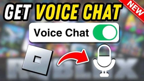 Roblox Voice Chat 21+ Verified (Selfie)