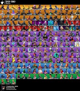 213 SKINS and tons of exclusive items