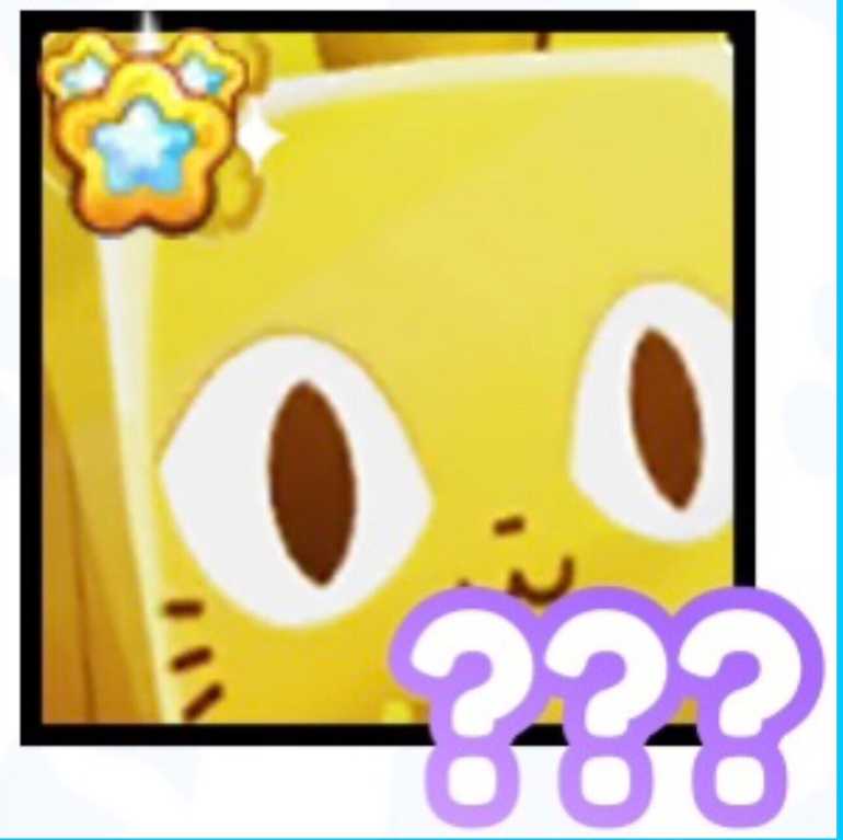 Golden Huge Leprechaun Cat