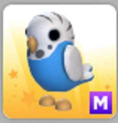 Adopt me Mega Parakeet