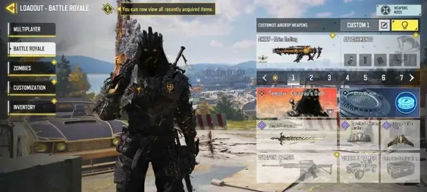 Save Activision - Gun Legend: 5 - Mythic gun: 2 - Epic Gun: 231 - Templar mythic - Instant delivery