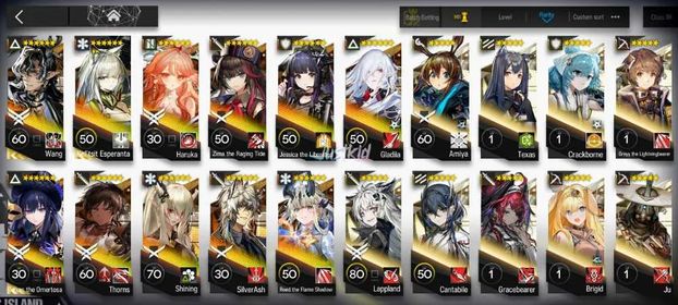 ARKNIGHTS GLOBAL EARLYMID 11*6 , 3 LIMITED KALTSIT ALTER,WANG,TEXAS ALTER , HARUKA,ZIMA ALTER,REED ALTER,JESSICA ALTER,THORN,SILVERASH,SHINING,GLADIA