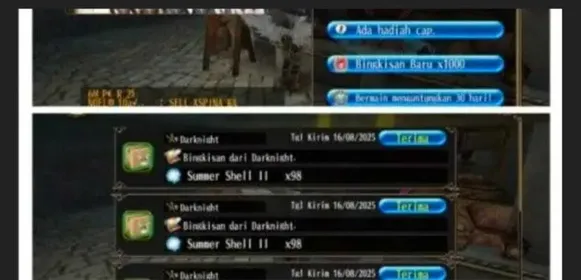 ACCOUNT 1000 STK SUMMER SHELL 2  Toram Online
