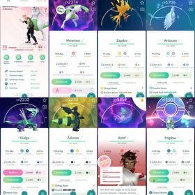 W133 Level 70 Shiny Mewtwo Shiny Legendary: Zekrom Shiny Hatched: Pichu  Master Ball x1