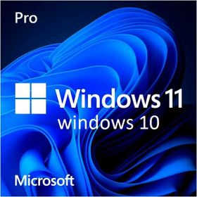 Windows 10/11 Pro online activation