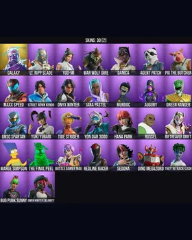 30 Skins Galaxy ⭐️ Lt. Ripp Slade ⭐️ Yoo-mi ⭐️ War Wolf Dire ⭐️ Danica ⭐️ Agent Patch ⭐️ Pig the Butcher ⭐️ Maxx Speed ⭐️ Street Rōnin Kendo ⭐️ Onyx Winter ⭐️ Jana Pastel ⭐️ Murdoc ⭐️ Augury ⭐️ Green Ranger ⭐️ UNSC Spartan ⭐️ Yuki Yubari ⭐ m239103254