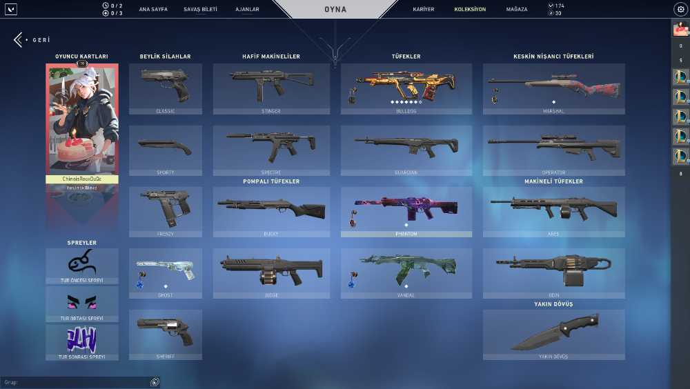 Tethered Realms Vandal + NEBULA PHANTOM + GLİTCHPOP BULDOG + NA + Mail