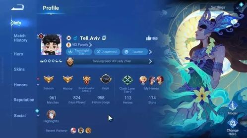 Hero 113 Skin 174|ShanHai Li Xin,LNY26 Ying,Limited Lady Zhen,LNY24 Sun Ce,Sanxingdui HouYi,Saiya Dharma,GM Mo,3 LEGEND|HOK726Z