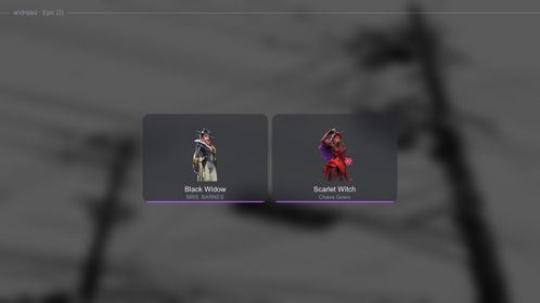 MR1155 //  Spider-Punk 2099 | Chaos Gown | MRS | BARNES | 5 Skins | 1 Legendary | 2 Epic