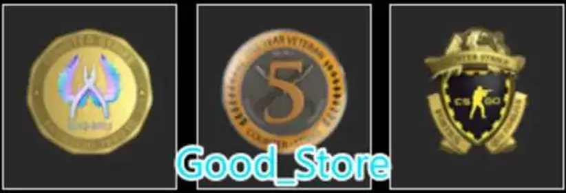 33Game-CS2 Prime 29 hours+3Medals(Loyalty Badge5Y/Global Offensive Badge)-China (VAC PUBG)