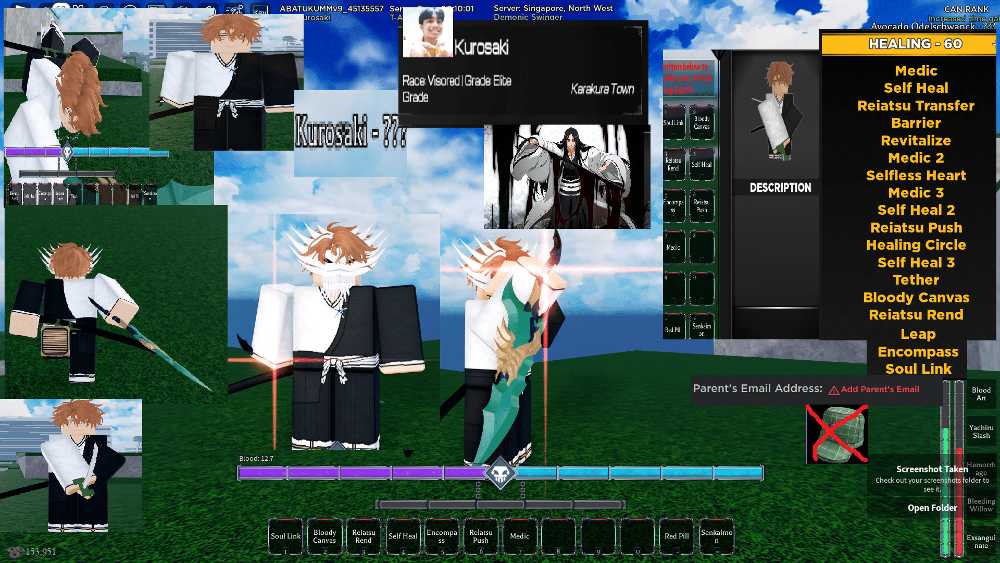 TYPE SOUL Ture Vizard Bankai Blood Clan kurosaki Full Max id