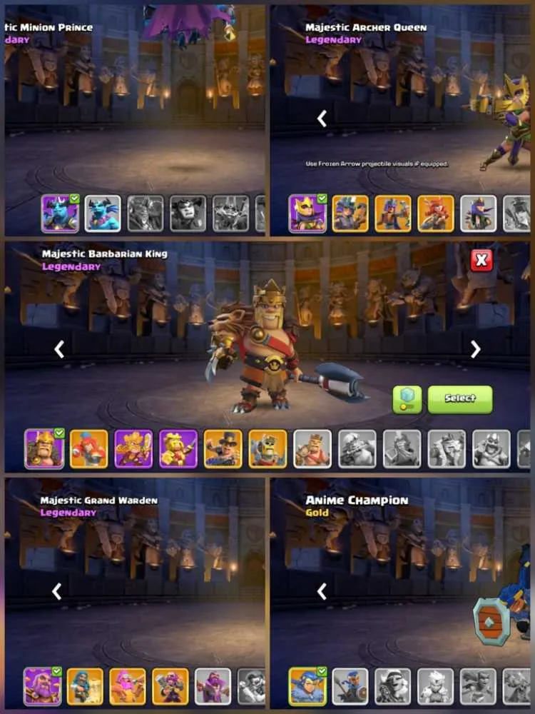 5 of 5