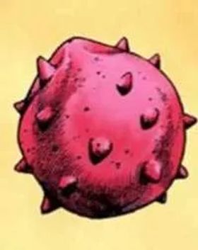 1x Rokaka seed | bridger:WESTERN