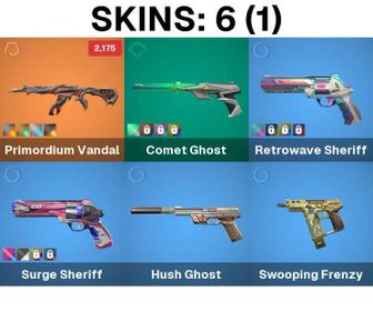 AP | 6 Skins | Expired Silver | Primordium Vandal | Comet Ghost | Retrowave Sheriff | Surge Sheriff | Hush Ghost | Swooping Frenzy | Snowbro Buddy | Dallah Buddy | EP1: Bronze Buddy | EP8: Gold Buddy