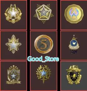 CS2 Prime 1316 hours+9Medals(2020-2022-2023-2024-2026 Service Medal/5Y/10 Year Birthday Coin/Loyalty Badge/Global Offensive Badge)Faceit Ready