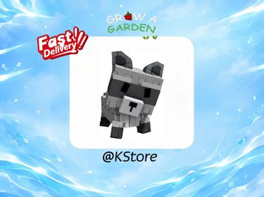 Raccoon | Grow a Garden | Fast Delivery ⚡️